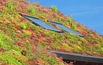 Kinnell living roof systems